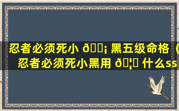 忍者必须死小 🐡 黑五级命格（忍者必须死小黑用 🦄 什么ss r武器好）